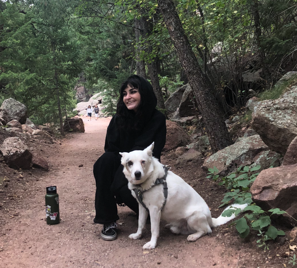 Dog Walkers Denver, Pet Sitters Denver YBFF Pet Care