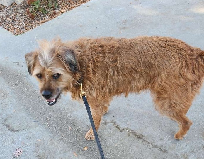 November 2023 - Tilly