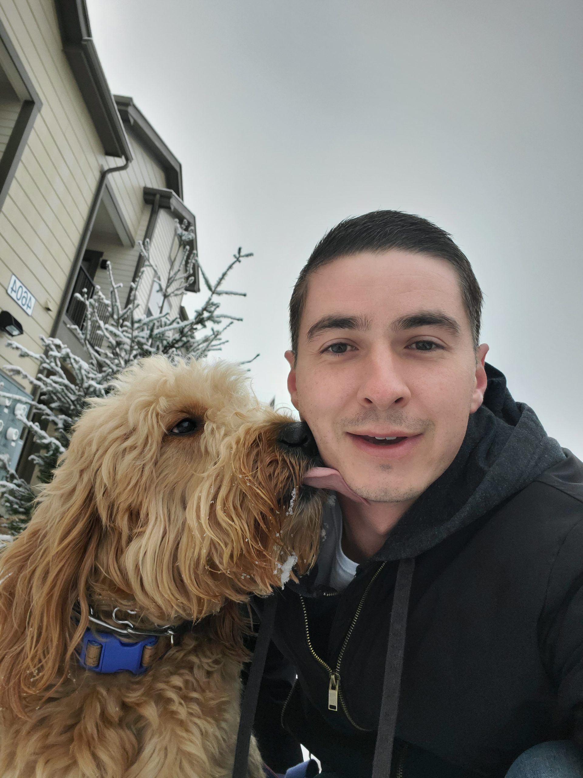 Dog Walkers Denver, Pet Sitters Denver YBFF Pet Care