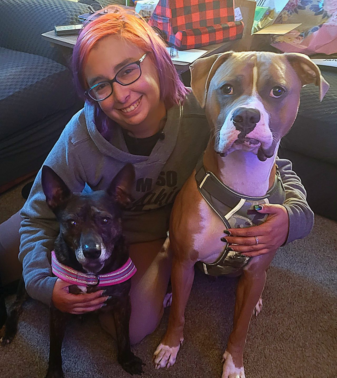 Dog Walkers Denver, Pet Sitters Denver YBFF Pet Care